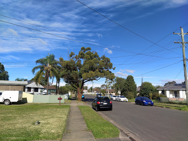 Dharruk Pest Control