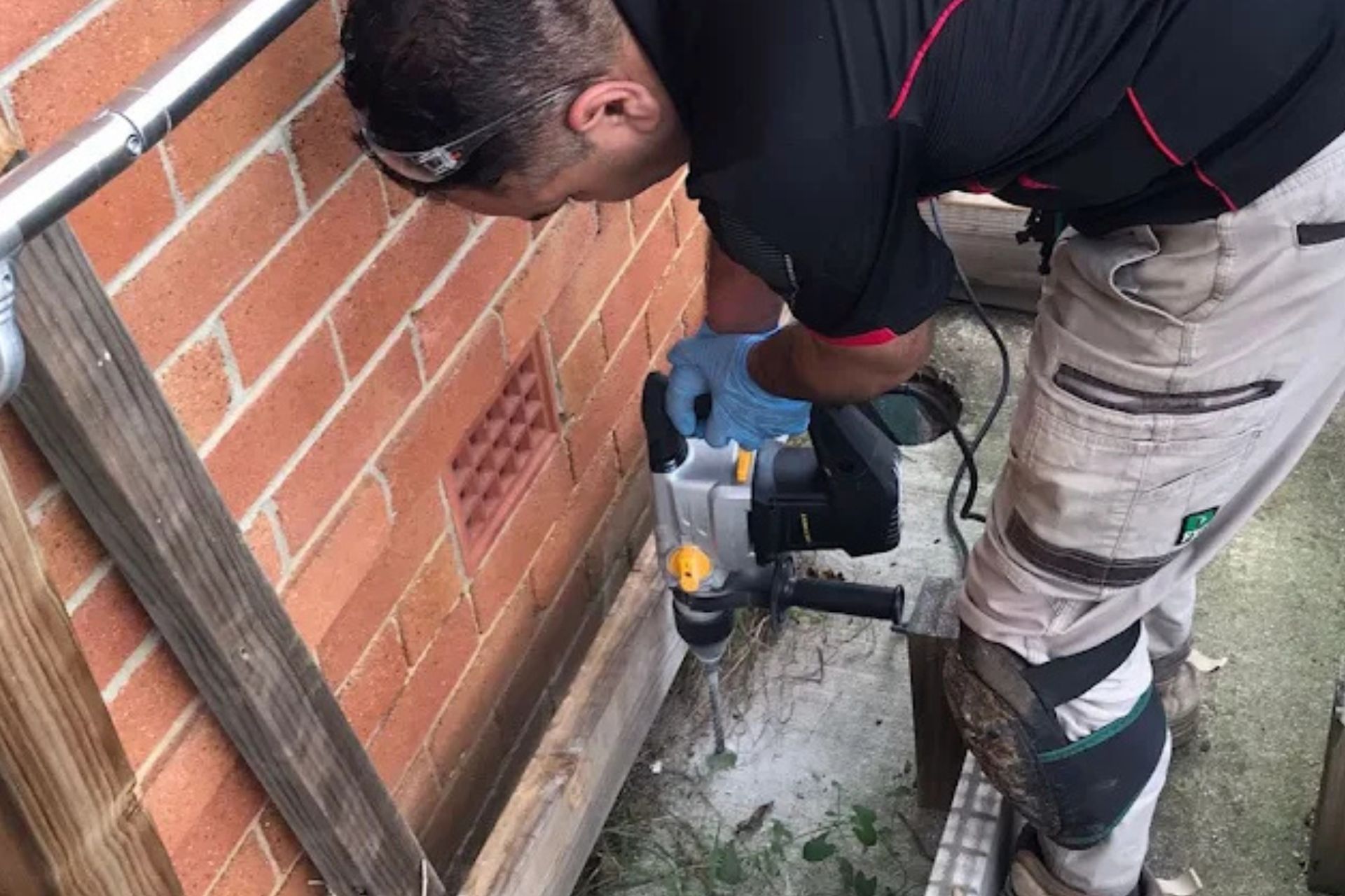 Pest Control Services NSW