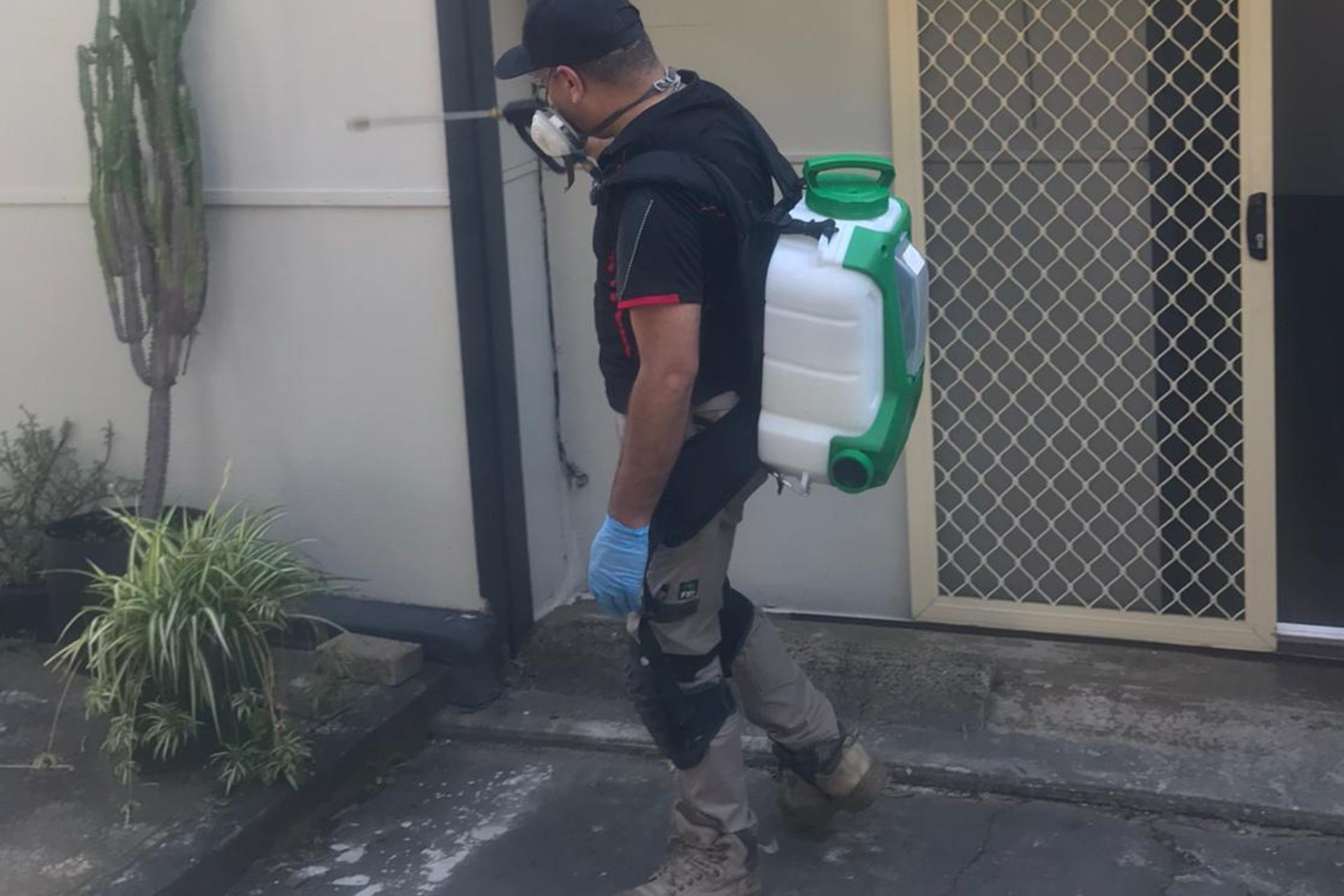 Pest Control Services NSW