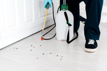 Residential Pest Control