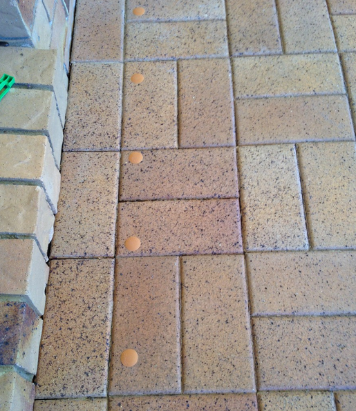 Termite Treatment