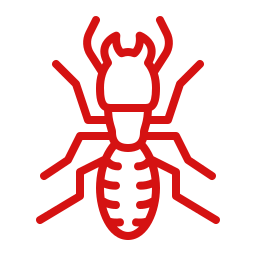 Pest Control termite (2) Pest Control Services Pest Control